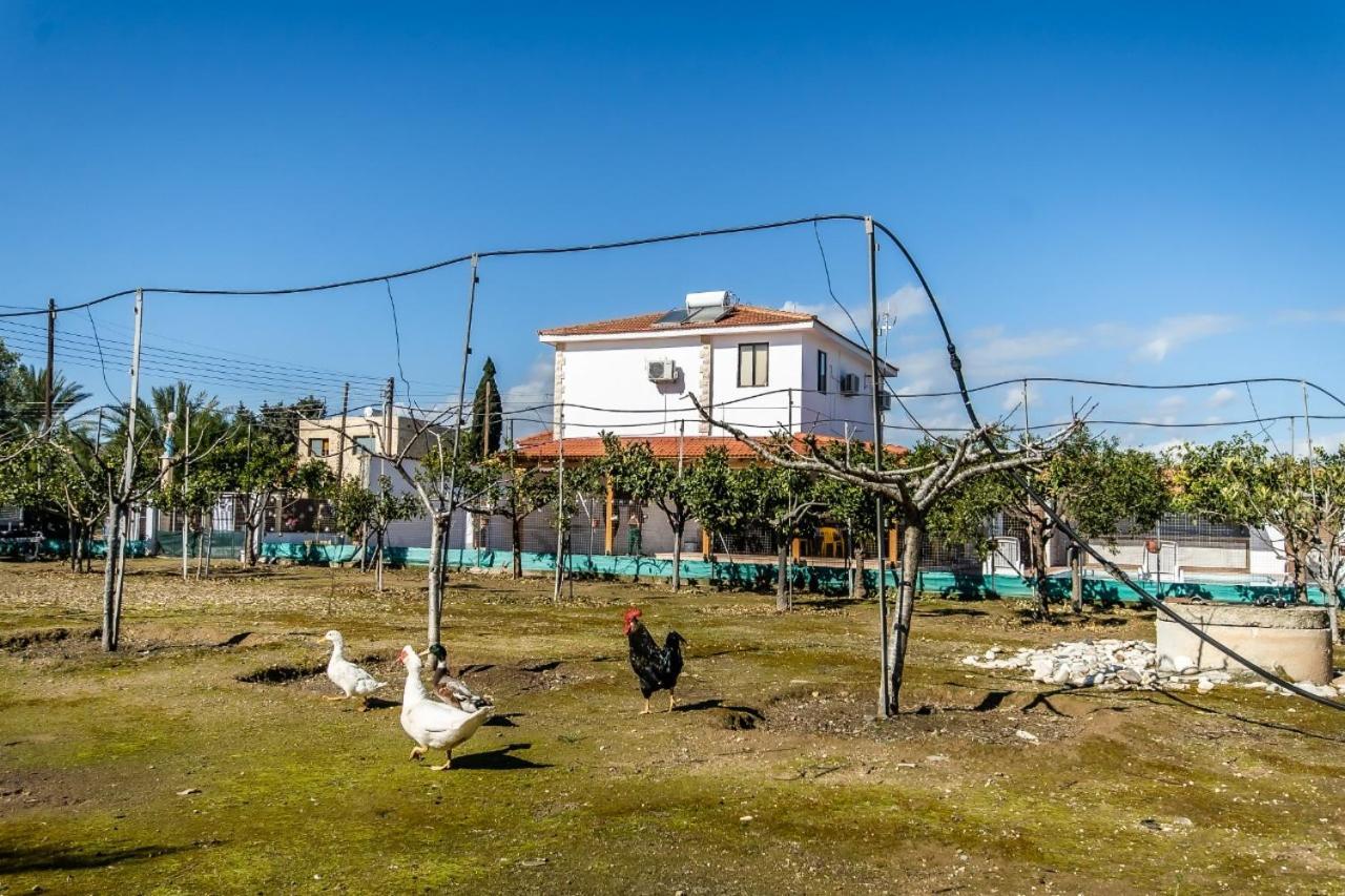 Reel Paradise Villa, Cyprus Ларнака Экстерьер фото